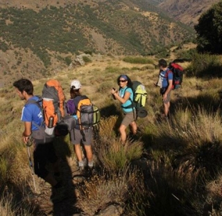  Treking Sierra Nevada 